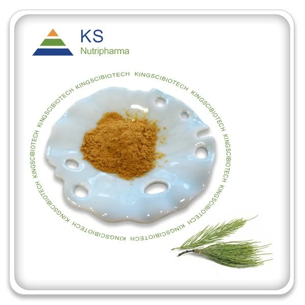 Equisetum Arvense kivonat