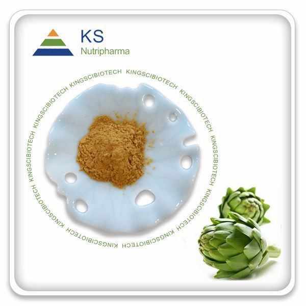 Articsóka kivonat por