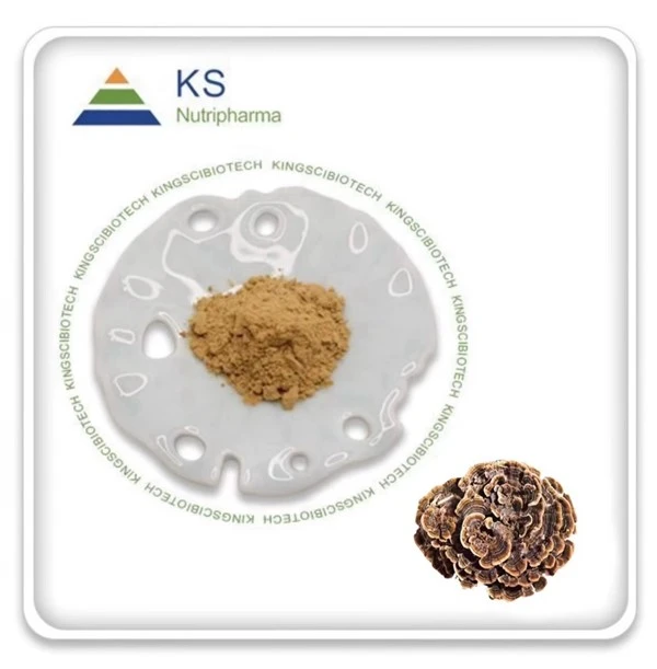 Corilus versicolor kivonat