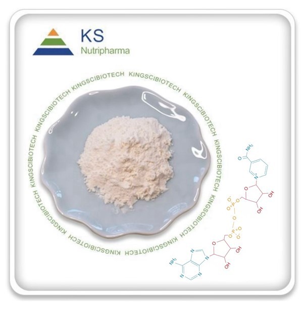 NAD kiegészítőpor